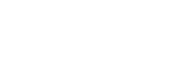 CHUCK Shiba Inu