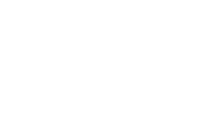 RICO Raccoon